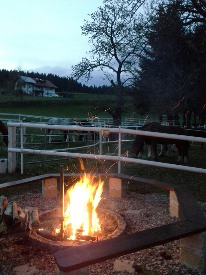 Gaestehaus Bartlehof Schluchsee Luaran gambar